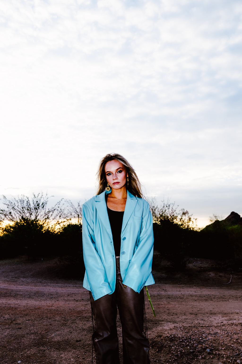 Artist and Image Management