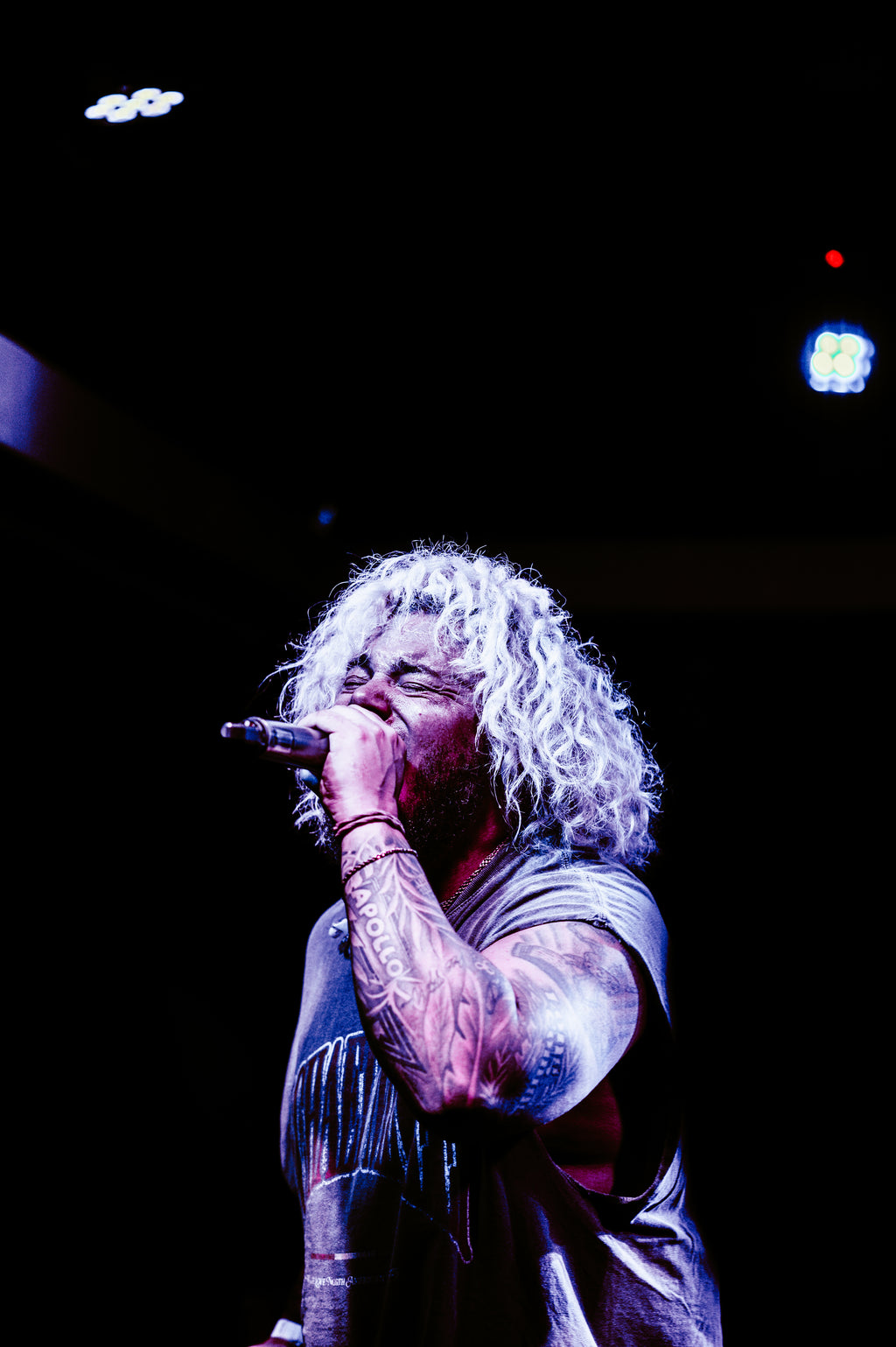 Artist and Image Management